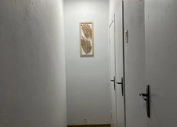 Kerulis 公寓 维尔纽斯